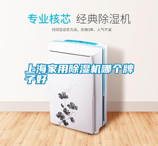 上海家用除濕機哪個牌子好