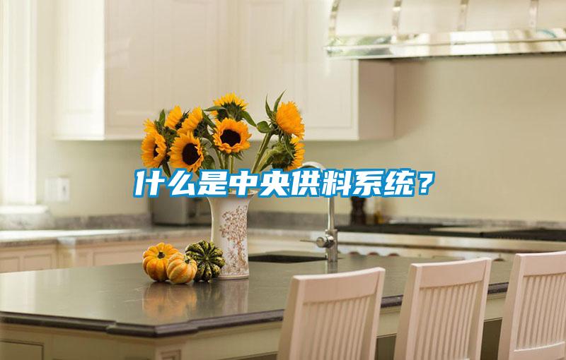 什么是中央供料系統？