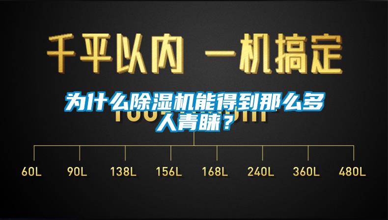 為什么除濕機能得到那么多人青睞？
