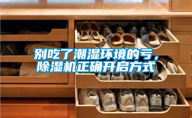 別吃了潮濕環境的虧，除濕機正確開啟方式