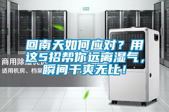 回南天如何應(yīng)對(duì)？用這5招幫你遠(yuǎn)離濕氣，瞬間干爽無(wú)比！
