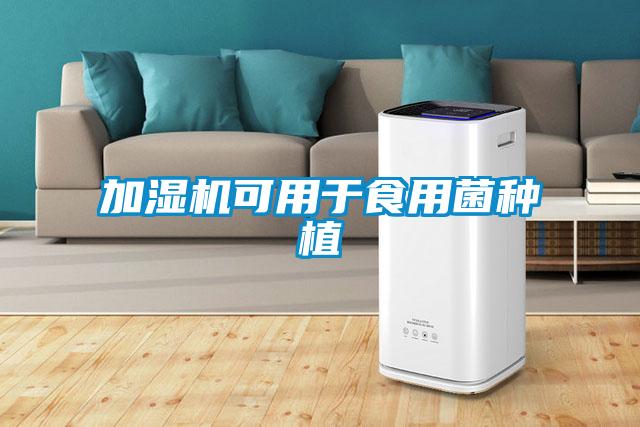 加濕機可用于食用菌種植