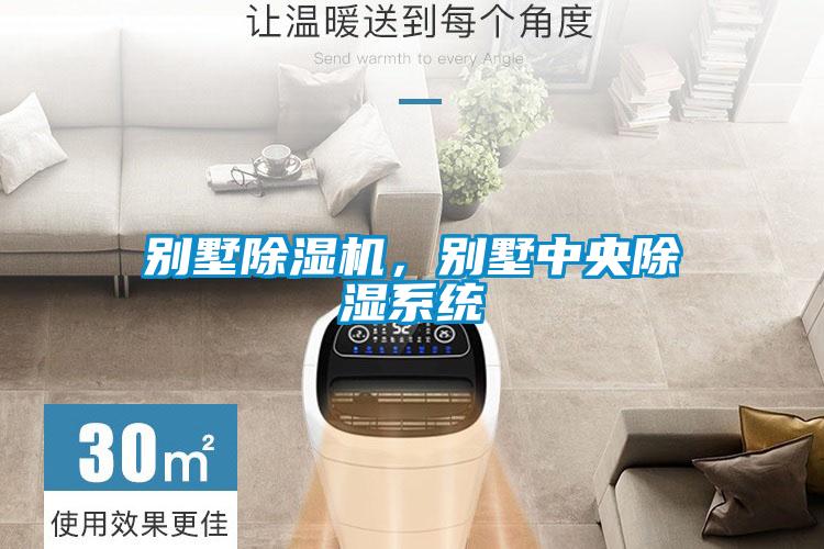 別墅除濕機(jī)，別墅中央除濕系統(tǒng)