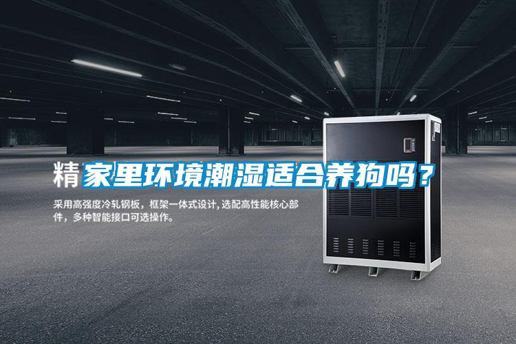 家里環境潮濕適合養狗嗎？