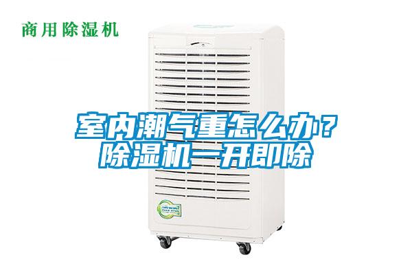室內潮氣重怎么辦?除濕機一開即除