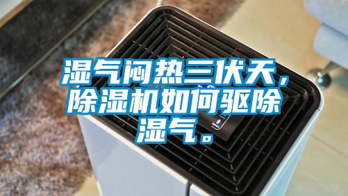 濕氣悶熱三伏天,除濕機(jī)如何驅(qū)除濕氣。