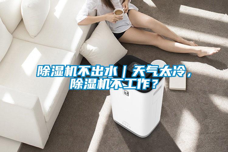 除濕機(jī)不出水｜天氣太冷，除濕機(jī)不工作？