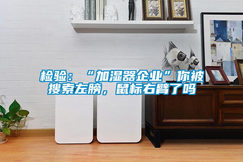 檢驗(yàn)：“加濕器企業(yè)”你被搜索左膀，鼠標(biāo)右臂了嗎