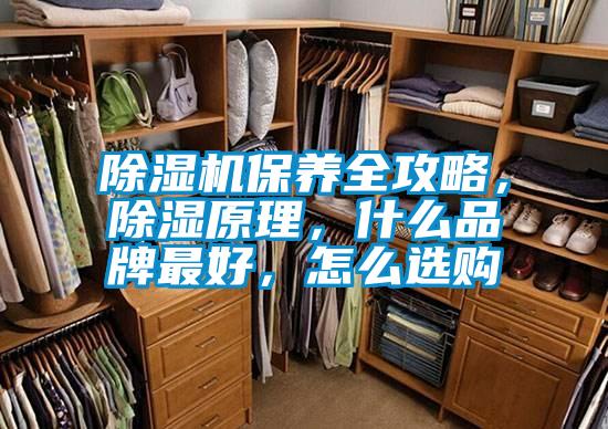 除濕機(jī)保養(yǎng)全攻略,除濕原理,什么品牌最好,怎么選購
