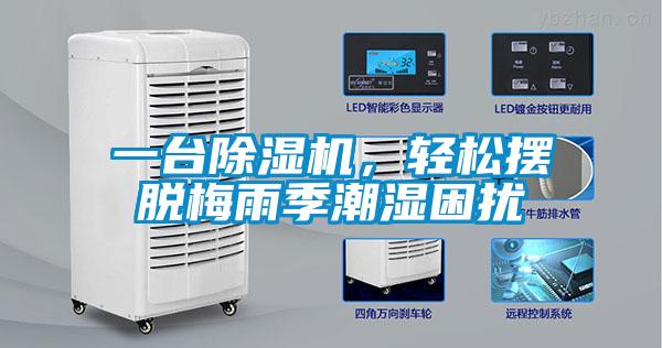 一臺除濕機，輕松擺脫梅雨季潮濕困擾