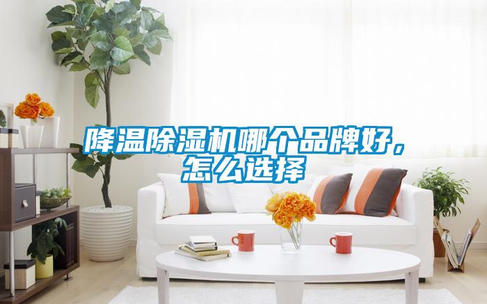 降溫除濕機哪個品牌好，怎么選擇