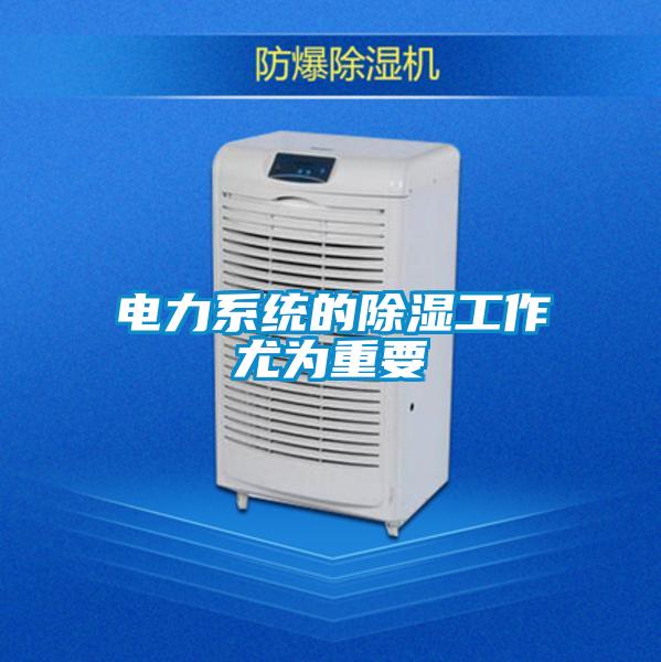 電力系統(tǒng)的除濕工作尤為重要