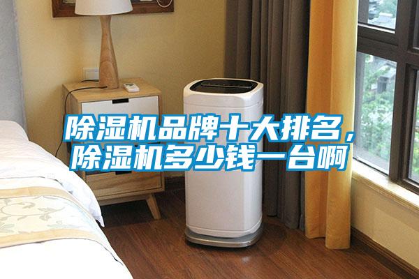 除濕機(jī)品牌十大排名,除濕機(jī)多少錢一臺啊