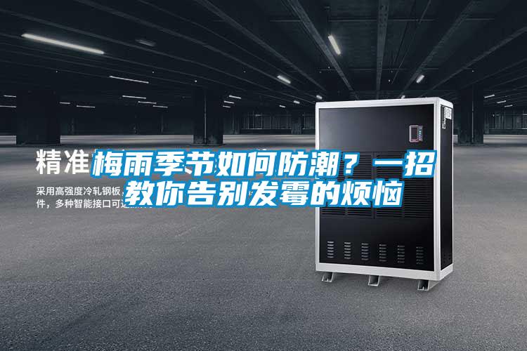 梅雨季節如何防潮？一招教你告別發霉的煩惱