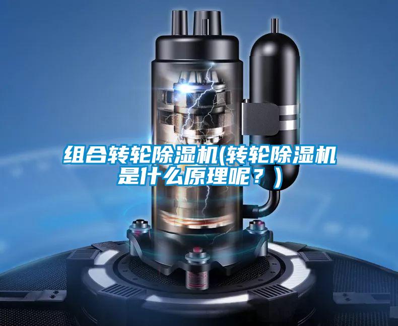 組合轉輪除濕機(轉輪除濕機是什么原理呢?)