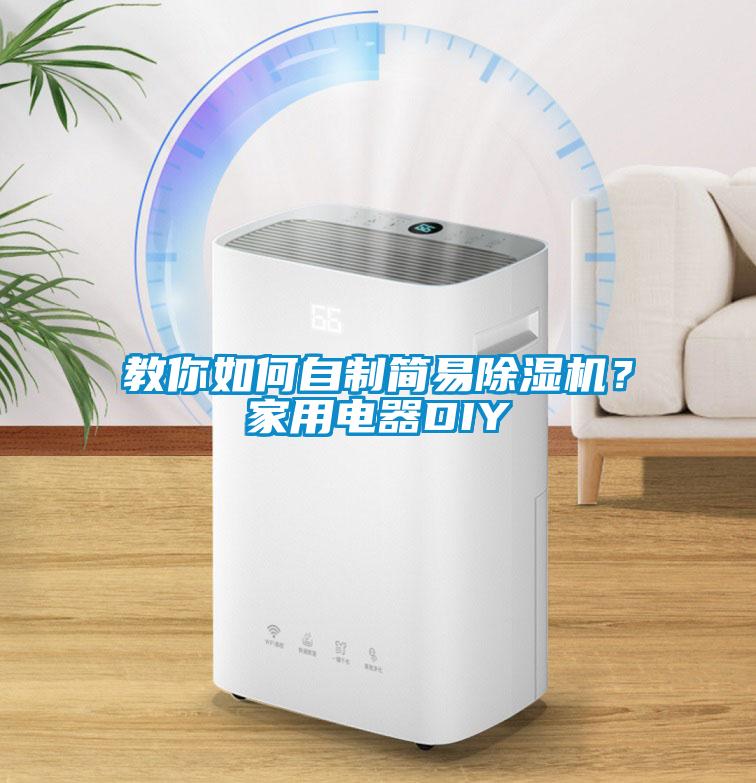 教你如何自制簡易除濕機(jī)?家用電器DIY
