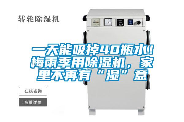 一天能吸掉40瓶水！梅雨季用除濕機(jī)，家里不再有“濕”意