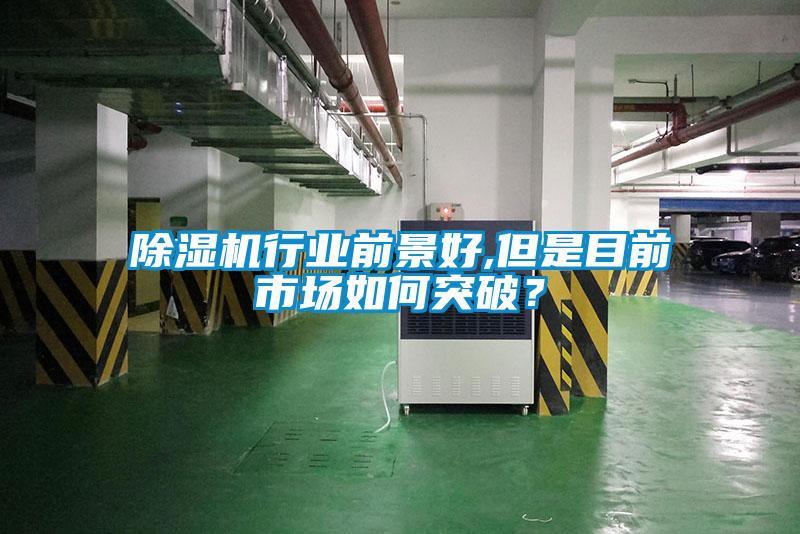 除濕機行業前景好,但是目前市場如何突破？