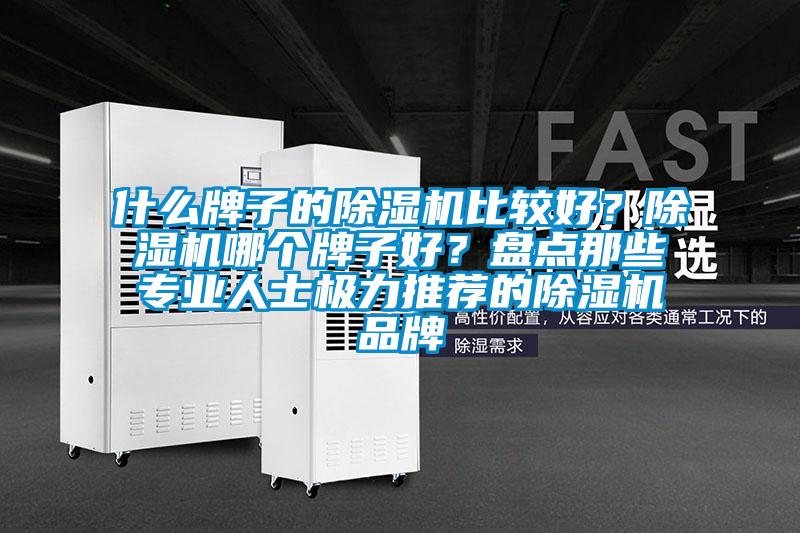 什么牌子的除濕機(jī)比較好？除濕機(jī)哪個牌子好？盤點(diǎn)那些專業(yè)人士極力推薦的除濕機(jī)品牌