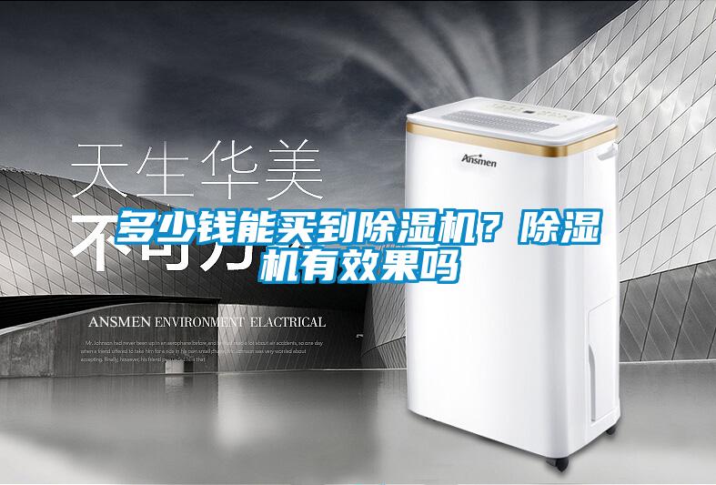 多少錢能買到除濕機？除濕機有效果嗎