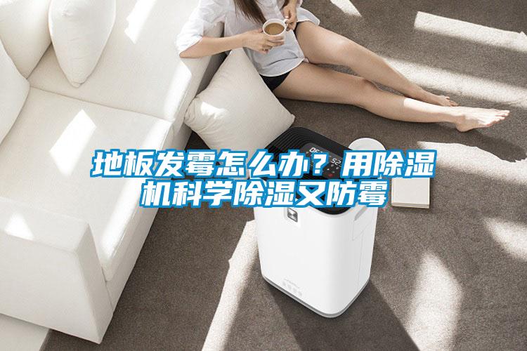 地板發霉怎么辦？用除濕機科學除濕又防霉