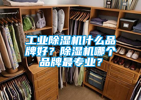 工業(yè)除濕機什么品牌好？除濕機哪個品牌最專業(yè)？