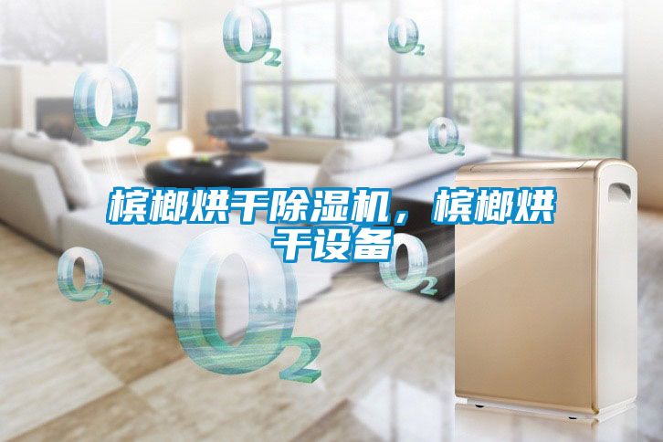 檳榔烘干除濕機，檳榔烘干設備