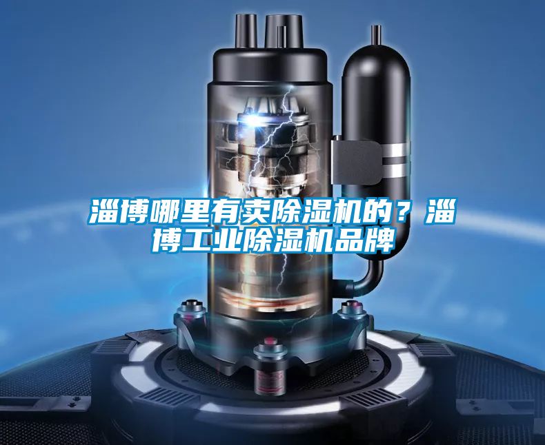 淄博哪里有賣除濕機的？淄博工業除濕機品牌