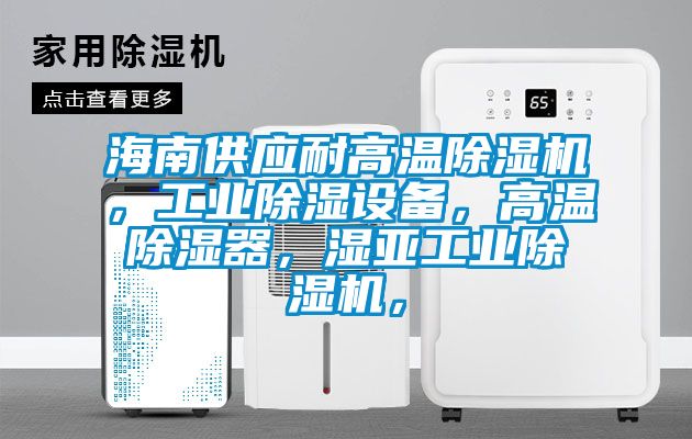 海南供應(yīng)耐高溫除濕機，工業(yè)除濕設(shè)備，高溫除濕器，濕亞工業(yè)除濕機，