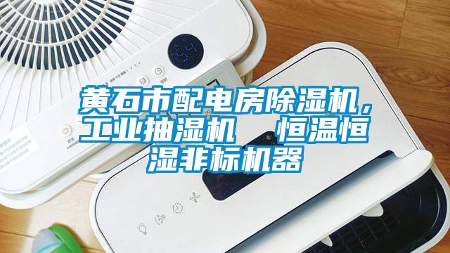 黃石市配電房除濕機，工業抽濕機  恒溫恒濕非標機器
